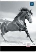 Opakowanie Zeszyt A5 w kratkę 96 kartek UV Interdruk