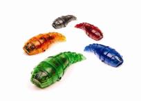 Opakowanie Hexbug Larwa