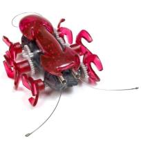 Opakowanie Hexbug Mrówka