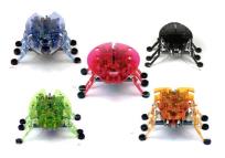 Opakowanie Hexbug Żuczek