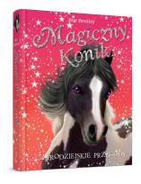 Okładka książki Magiczny konik. Czarodziejskie przygody
