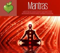Okładka książki Muzykoterapia - Mantras