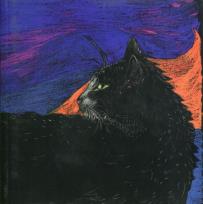 Opakowanie Notes Kot wieczorowy