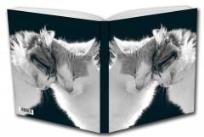 Opakowanie Notes Kotki B & W