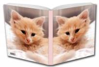 Opakowanie Notes Małe Kotki