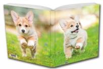 Opakowanie Notes Szczeniak Corgi