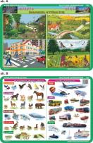 Okładka książki Podkładka edukacyjna  Miasto i wieś, te co biegają, pływają,