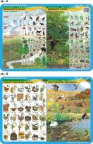 Okładka książki Podkładka edukacyjna Piętrowość w górach i lesie, mieszkania