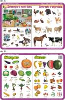 Okładka książki Podkładka edukacyjna  Warzywa, owoce, zwierzęta w moim domu