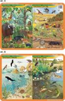 Okładka książki Podkładka edukacykna Mieszkańcy Bałtyku, jezior, lasów, pól