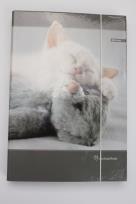 Opakowanie Teczka A4 z gumką