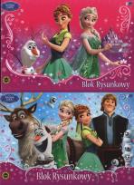 Opakowanie Blok rysunkowy A4 Kraina Lodu 20 kartek 10 sztuk mix