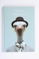 Opakowanie Brulion A5 w kratkę 96 kartek