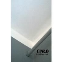 Okładka książki Ciało