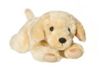 Okładka książki Golden Retriver pluszowy 29 cm