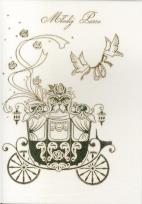 Opakowanie Karnet ślubny B6 Premium 21 (5szt)