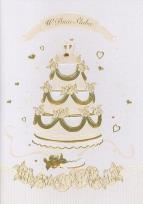 Opakowanie Karnet ślubny B6 Premium 9 (5szt)