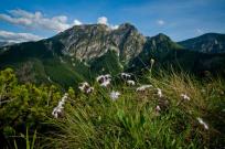 Opakowanie Kartka 3D Tatry, Giewont