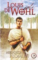 Okładka książki Niespokojny płomień