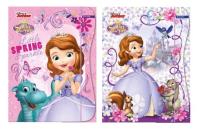 Opakowanie Teczka z gumką A4