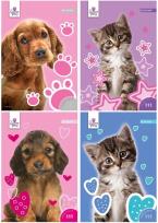 Opakowanie Wkłady do segregatora A6/8k. z kolorowankami i naklejkami / seria 111