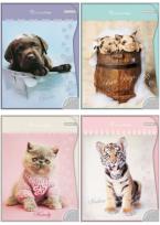 Opakowanie Wkłady do segregatora A6/8k. z kolorowankami i naklejkami / seria 236