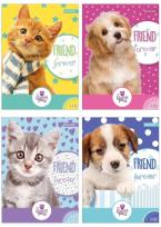 Opakowanie Wkłady do segregatoraA A5/8k. z kolorowankami i naklejkami / seria 110