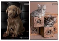 Opakowanie Zeszyt A5 w kratkę 80 kartek