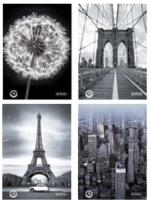 Opakowanie Brulion A4/96K kratka Black&White (5szt)