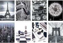 Opakowanie Brulion A5/96 kratka Black&White (5szt)