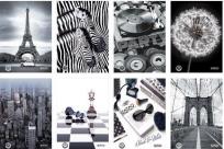 Opakowanie Brulion A5/96 linia Black&White (5szt)