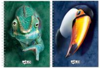 Opakowanie Kołobrulion A4 100 kartek z perforacją i kolorowymi registrami