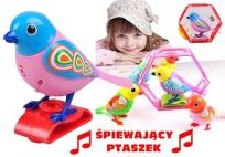 Opakowanie Kolorowy Ptaszek Interaktywny w Klatce Śpiewa