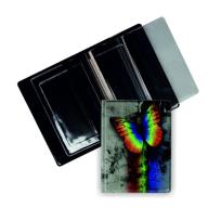 Opakowanie Okładka na dokumenty Motyl