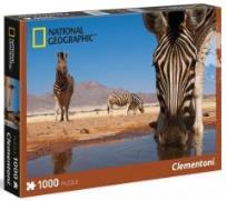 Opakowanie Puzzle 1000 National Geographic A Zebra drinks...
