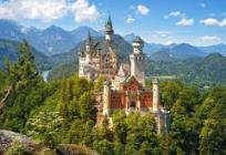 Opakowanie Puzzle1000 Neuschwanstein Castle, Germany CASTOR