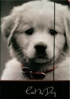 Opakowanie Teczka z gumką A4 UV Tray 1068 Cat&Dog