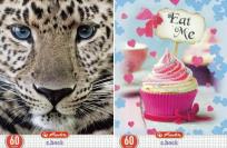 Opakowanie Zeszyt A4/60K kratka Chillout (5szt)