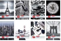 Opakowanie Zeszyt A5/60 kratka Black&White (5szt)