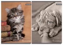 Opakowanie Zeszyt A5 w kratkę 60 kartek mix