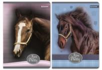 Opakowanie Zeszyt A5 w kratkę 60 kartek