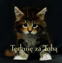 Okładka książki Ziarenka 17 Tęsknię za Tobą