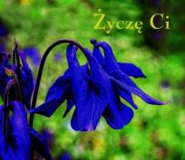 Okładka książki Ziarenka 5 Życzę Ci