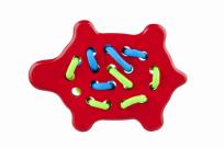 Okładka książki Przeszywanka Żółw Czerwony