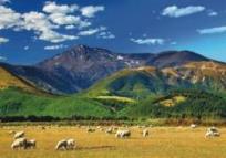 Opakowanie Puzzle 1500 Mountain Landscape DINO