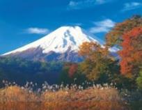 Opakowanie Puzzle 500 Fuji DINO