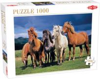 Opakowanie Puzzle Camargue horses 1000