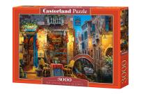 Opakowanie Puzzle Our Special Place in Venice 3000