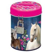 Opakowanie Skarbonka z kłódką Konie 11 DERFORM