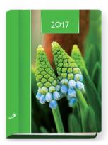 Opakowanie Terminarz 2017 - B7 szafirki